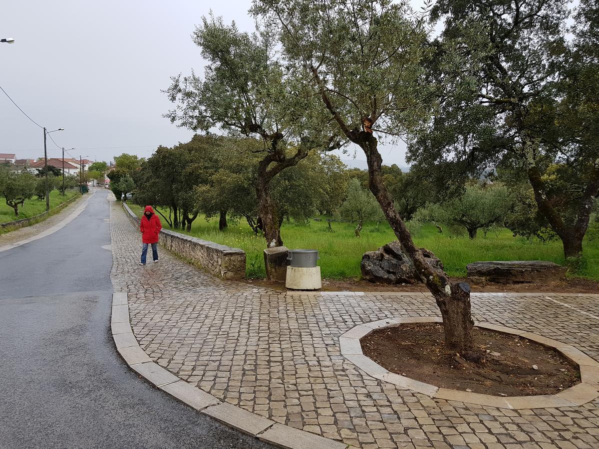 Casa Dos Tios Hotell Fátima Eksteriør bilde