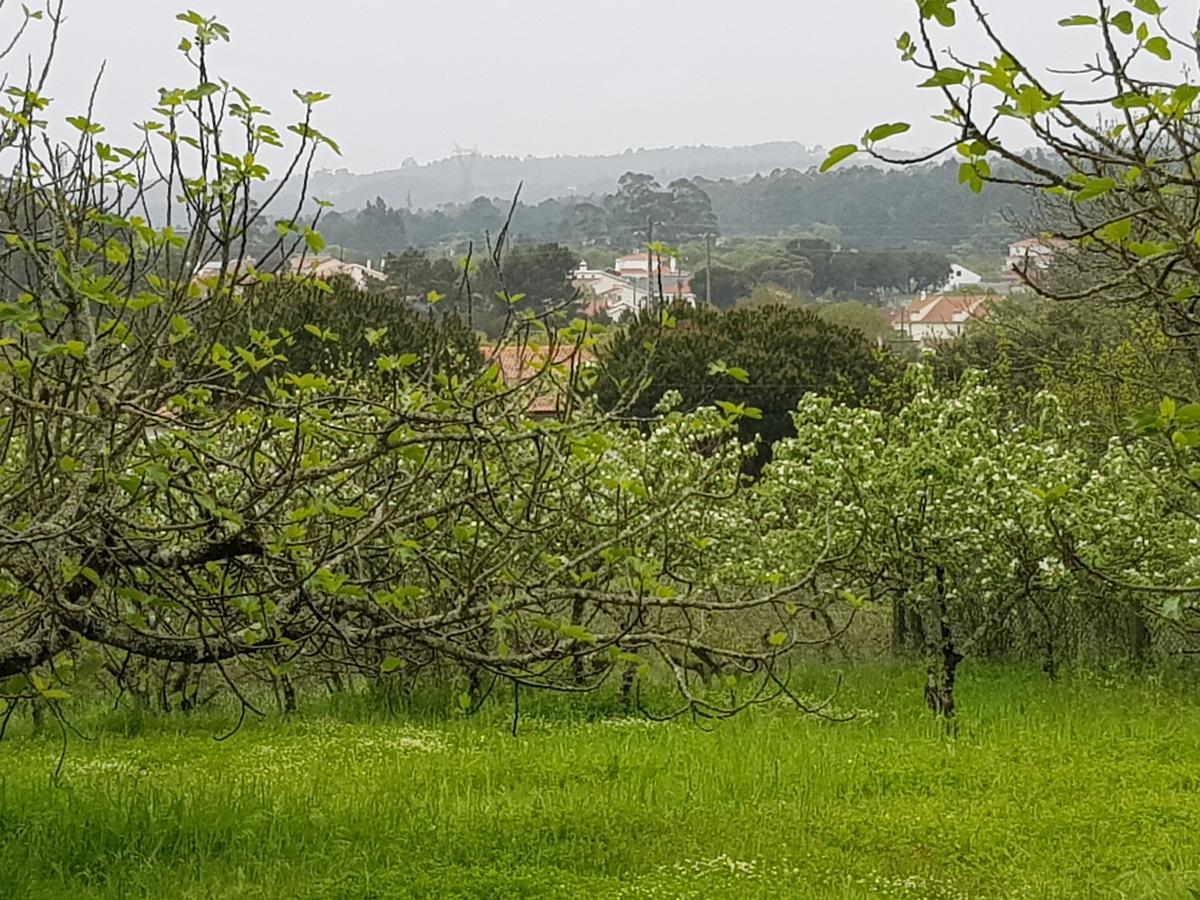 Casa Dos Tios Hotell Fátima Eksteriør bilde